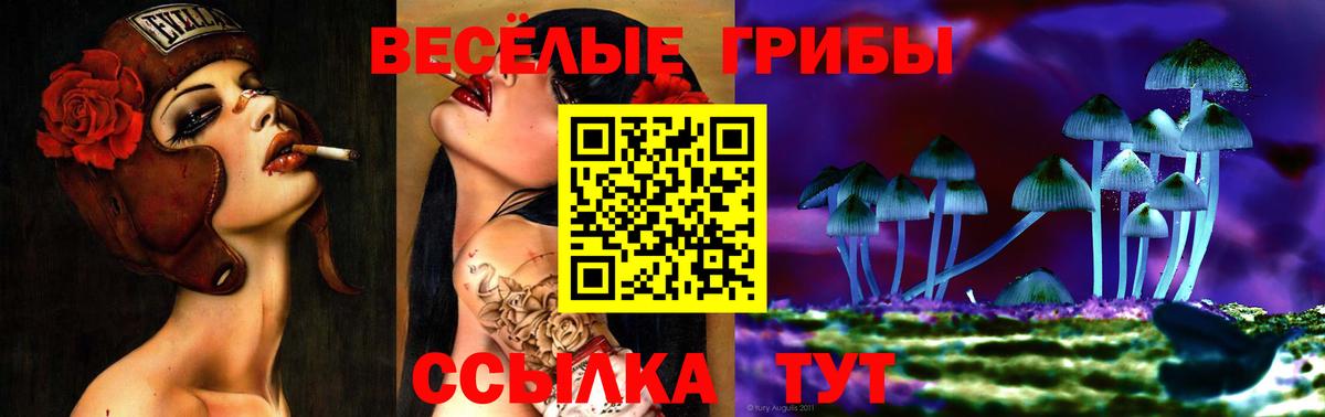 Псилоцибиновые грибы Cubensis Красноуфимск